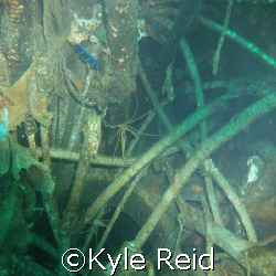 USS Oriskany, looking down in the cables of what use to b... by Kyle Reid 